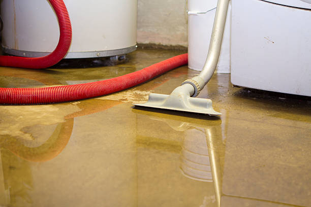 Best Residential water damage restoration  in Avon, OH