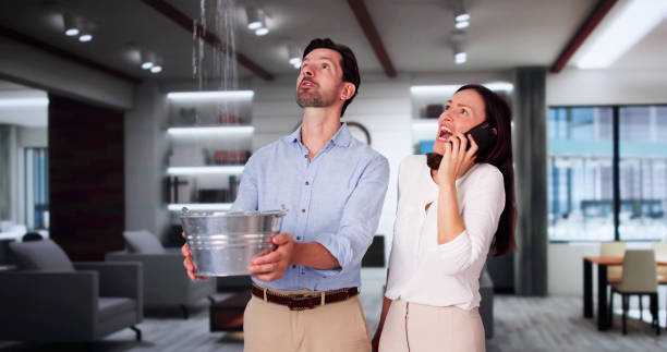 Best Professional water damage repair  in Avon, OH